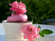 3 Easy Beet Cupcake Ideas